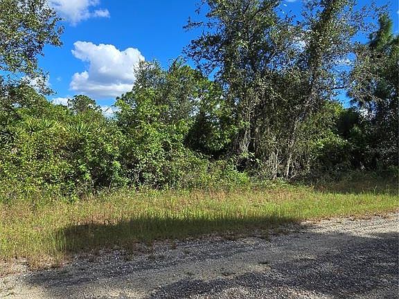 3rd image of 419 WILDER AVENUE S LOT 0110