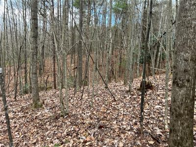 LOT 10 Fisher Valley Rd Lot 10, Dobson, NC, 27017
