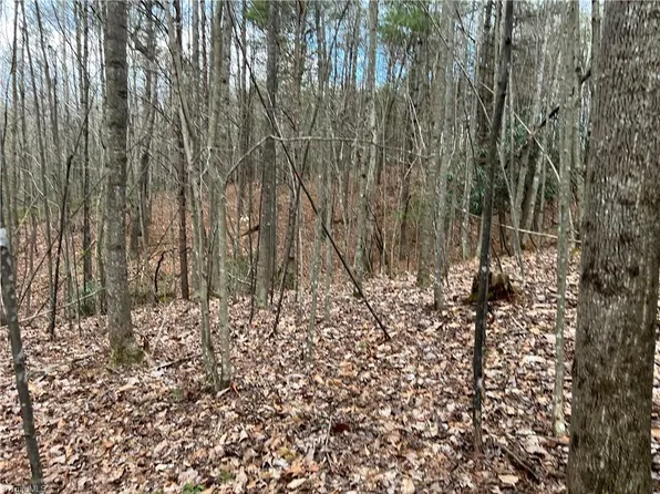 LOT 9 Fisher Valley Rd Lot 9, Dobson, NC 27017