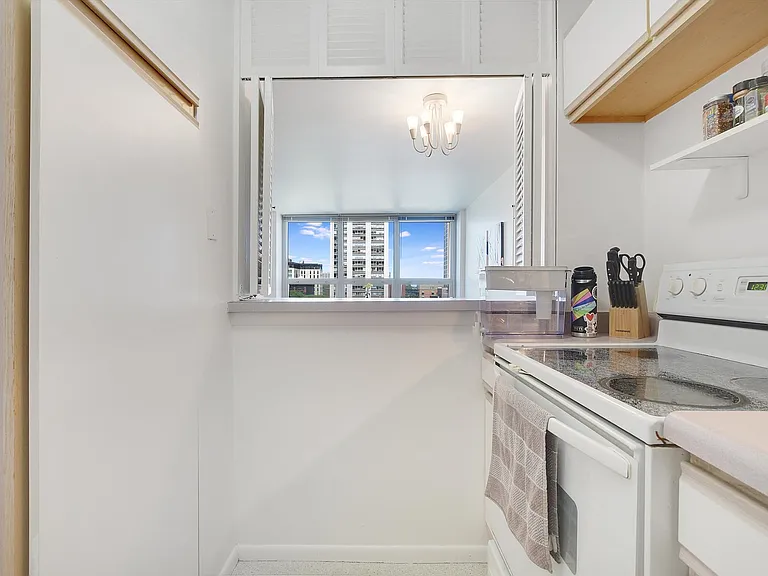 88 W Schiller St #703 — Photo 8