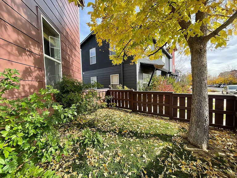 1547 Easy Rider Ln — Photo 4