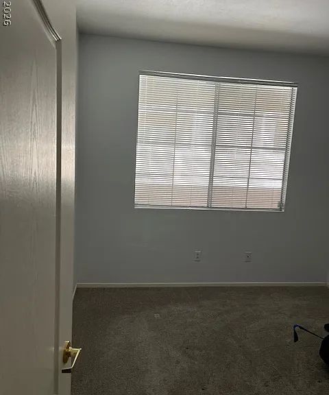 9901 Trailwood Dr #1125 — Photo 7