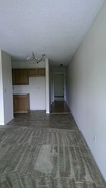 Chisholm Way Apartments — Photo 3