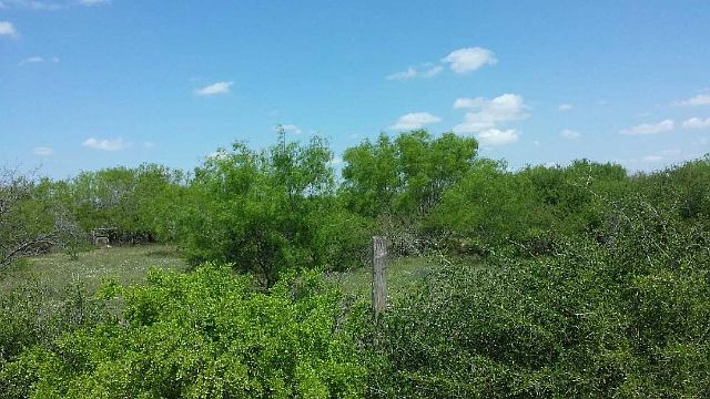 2nd image of 163 El Pinto Rd