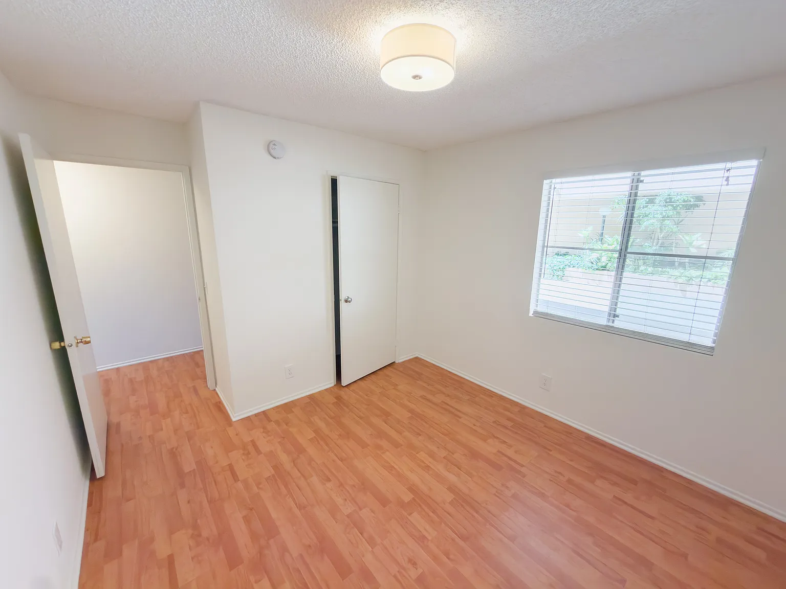 3 bed, 1060 sqft, $3,100 — Photo 4