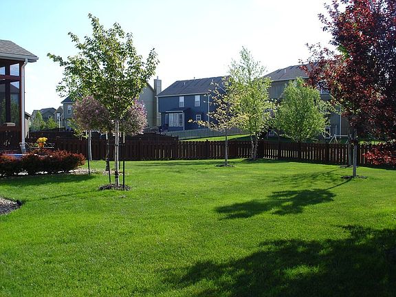 Great backyard living space