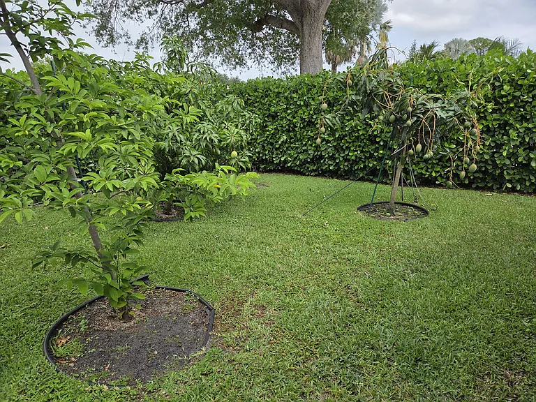 2378 Deer Creek Lob Lolly Ln — Photo 31
