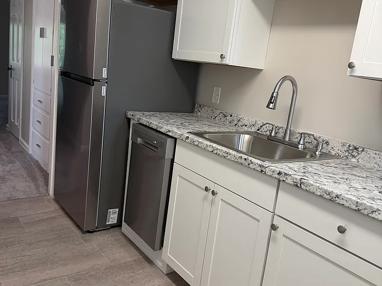 New Counters, Fixtures, SS Appliances