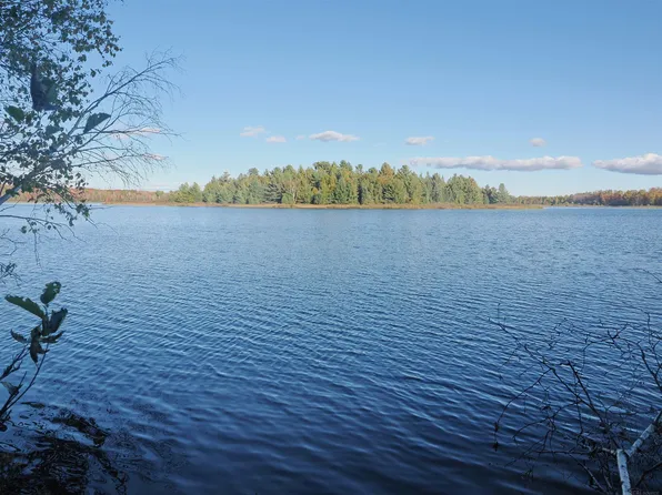 W Birch Shores Dr, Trout Lake, MI 49793