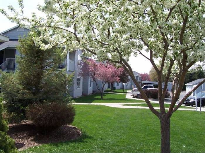Grounds