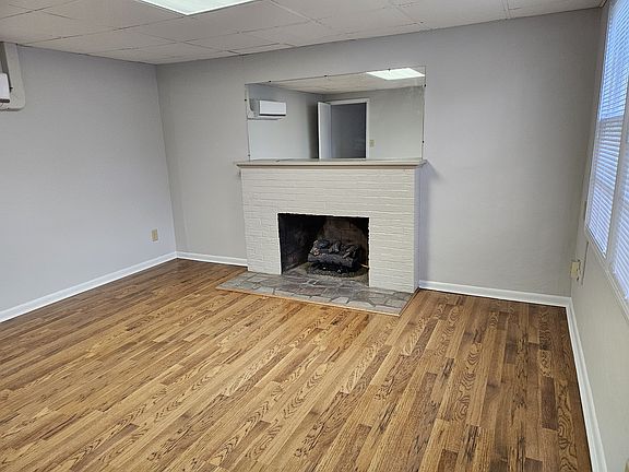 Fireplace in Den