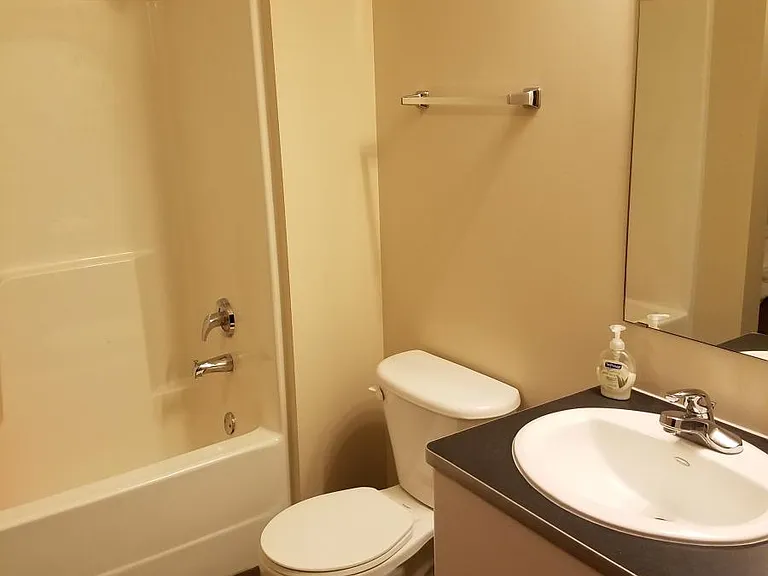 Bathroom - tub and shower.