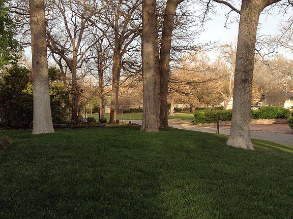 Beautiful front lawn