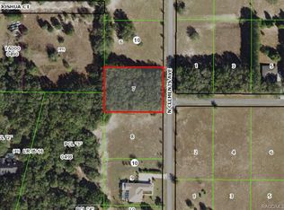 3002 N Clements Ave, Hernando, FL 34442
