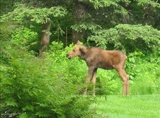 7820 Jamie Ave, Anchorage, AK 99516