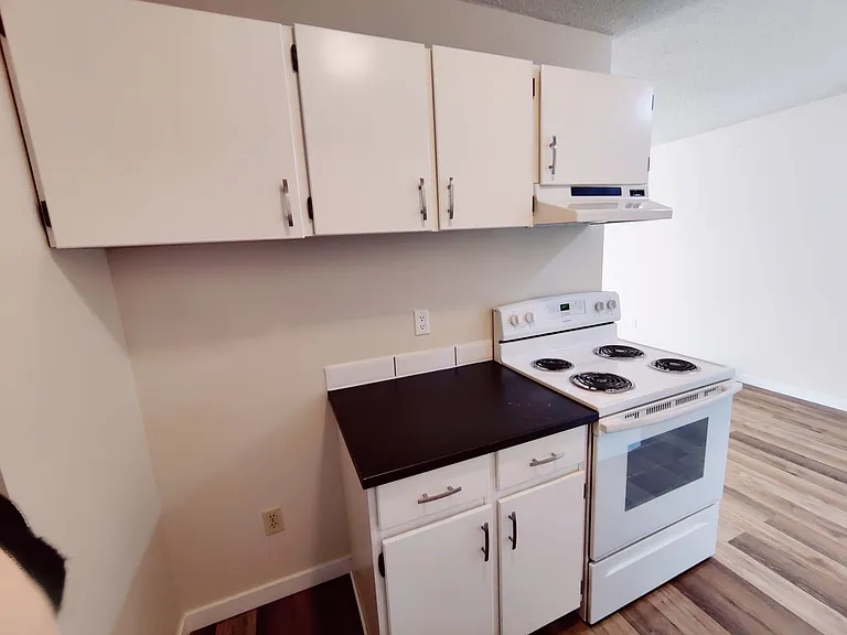 241 Scott Ave — Photo 4