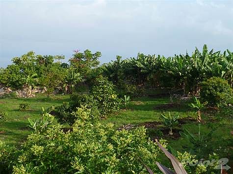 Views of the Farm