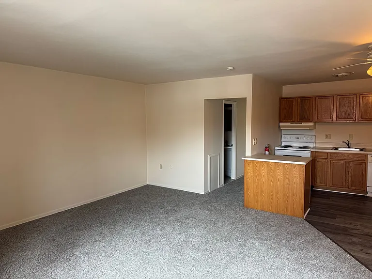 203 E Chestnut Street — Photo 19