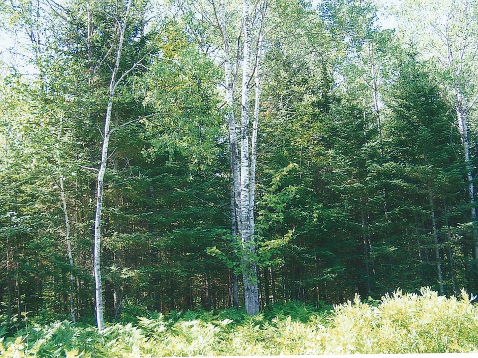 2nd image of Clear Lake Road