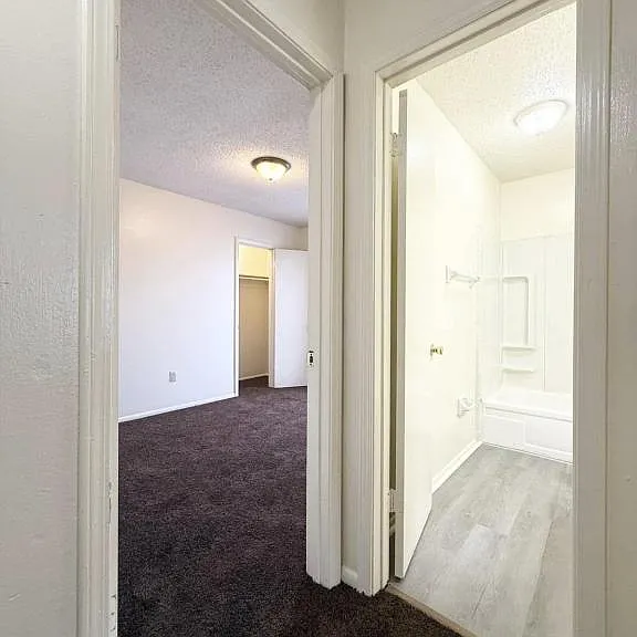 1620D Newport Pl — Photo 3
