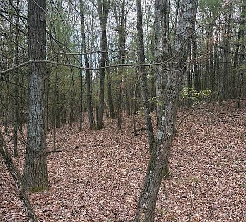 4th image of LOT 35 Majestic Dr