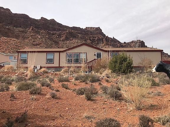 Cows are mooooving with me