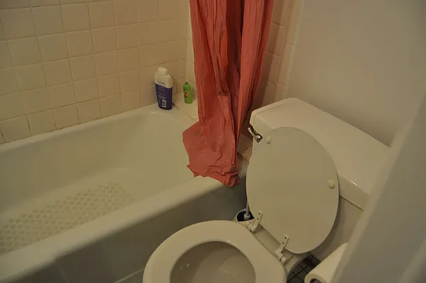 Rented by Sky Management | media 61