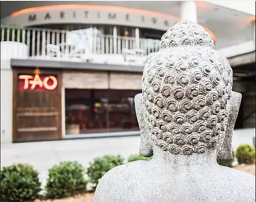 Rented by Compass | media 43