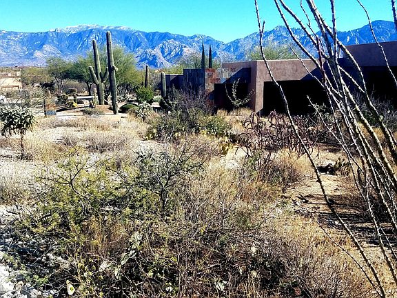 5th image of 13963 Bowcreek Springs Pl