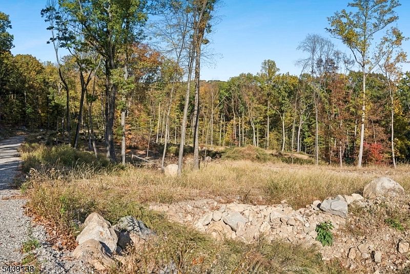 2nd image of 10 Bristol Ridge Rd