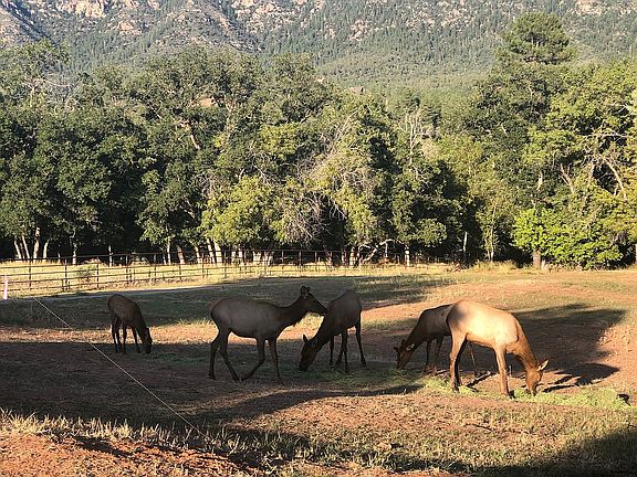 4th image of 0 Pine Creek Canyon Dr