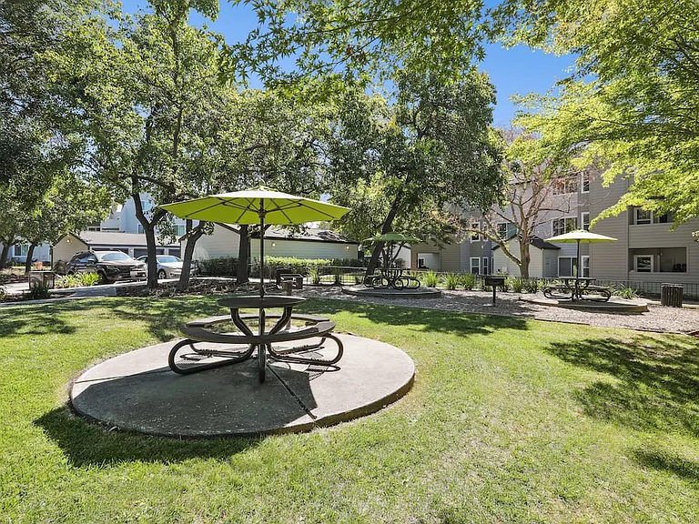 Barbecue grills and picnic area