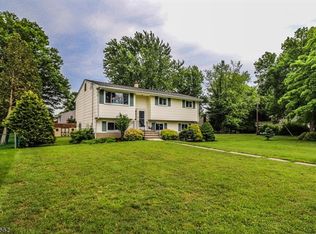 10 Busher Pl, Clinton, NJ 08809