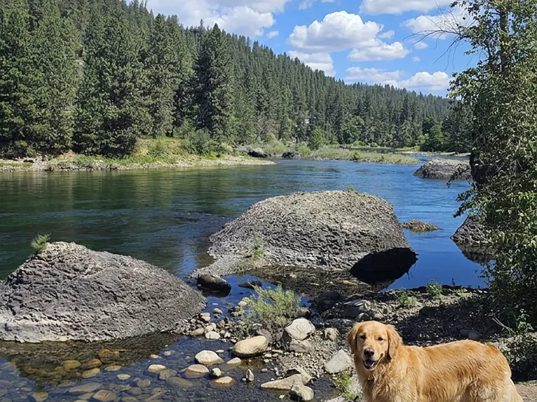 Arborview on the River — Photo 9