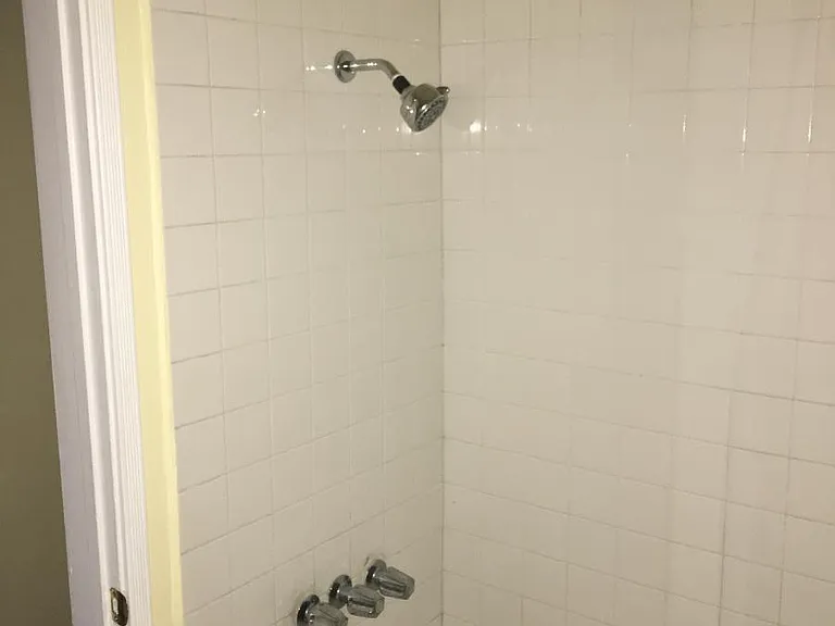 Shower / Tub in Guest Bathroom