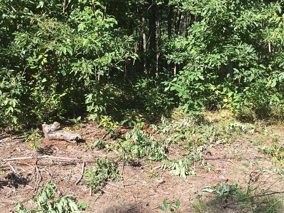 1st image of Evergreen Ln