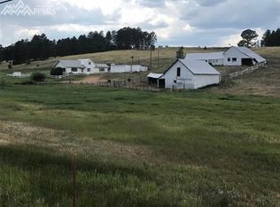 463 S 40th Rd, Woodland Park, CO 80863