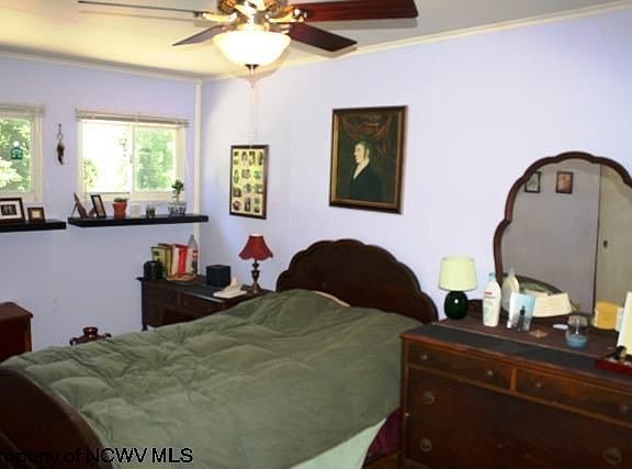4th image of 535 Woodland Cir