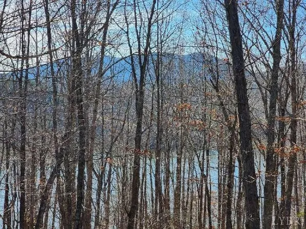 0 Robin Ridge Ct Lot 7, Pittsville, VA 24139