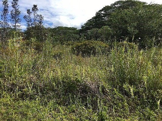1st image of 13th Ave Lot 1141