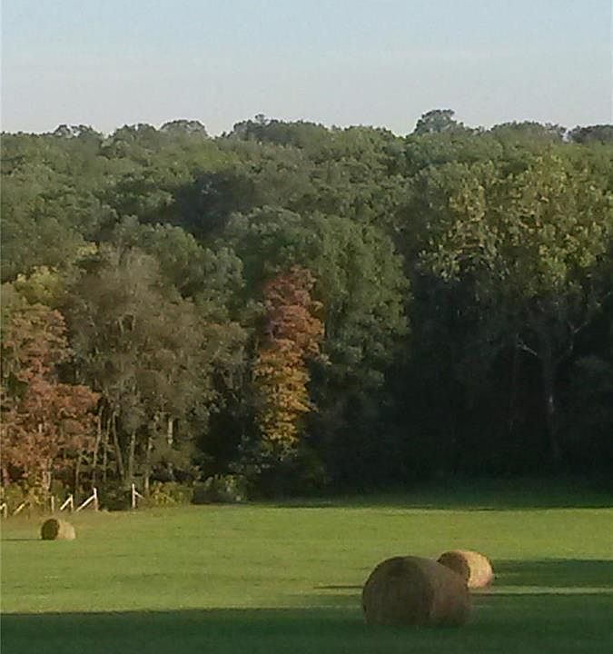 7962 Zimmerman Rd, Robertsville, MO 63072 MLS 23067589 Zillow