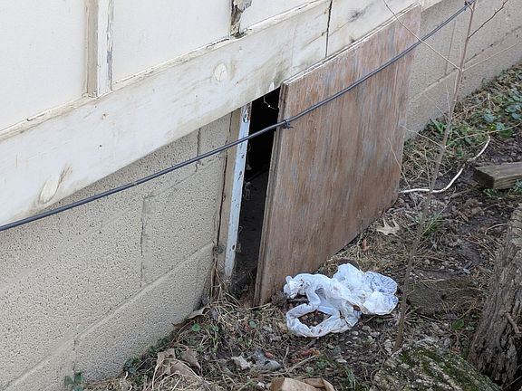 3rd image of 806 S Saville Ave