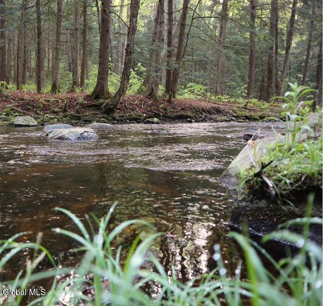 5th image of L21.11 Black River Road