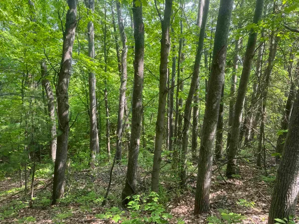 N 6th St, Bayfield, WI 54814