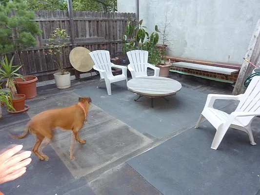 Rented by Brooklyn Real Estate Services | media 27