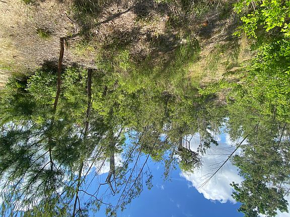 3rd image of 407 Meadowview Ter