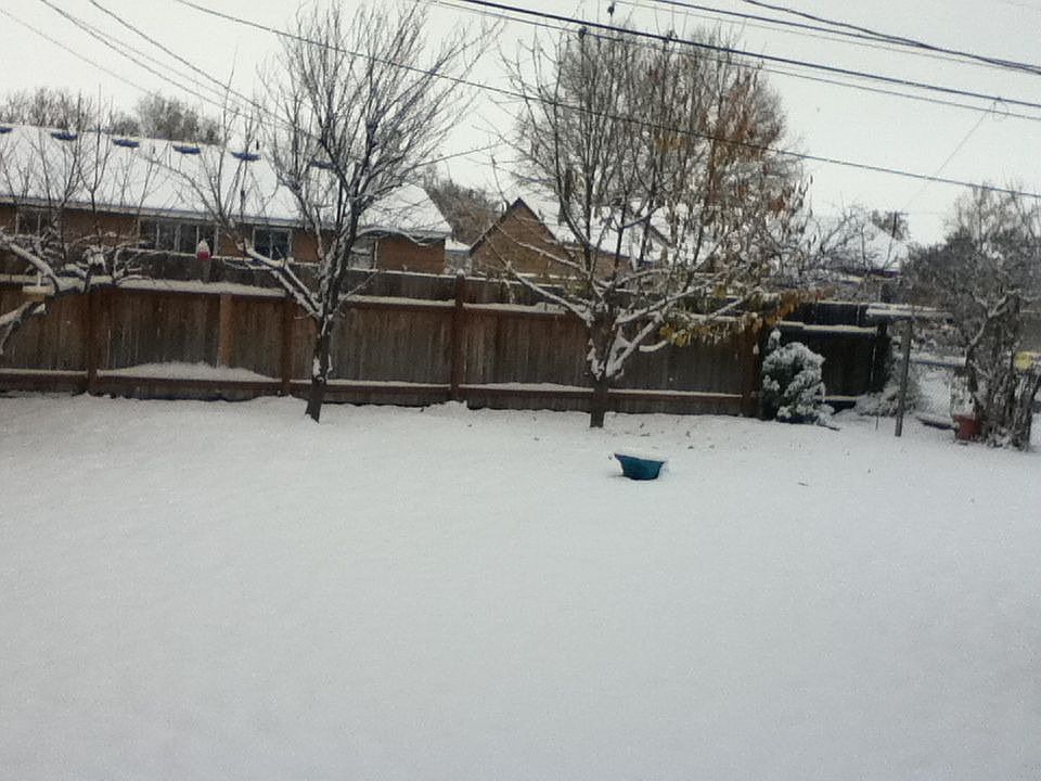 BackYard View
