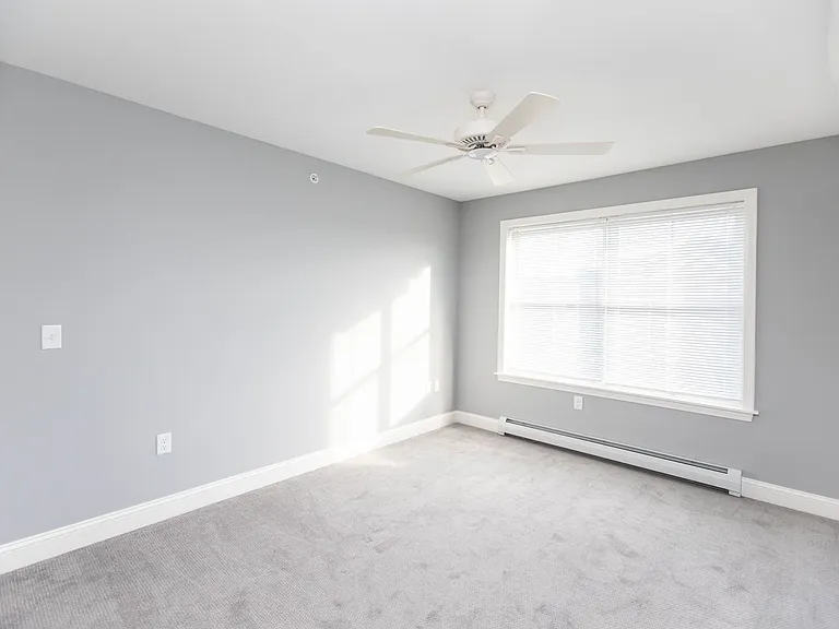 259 Stafford St — Photo 8