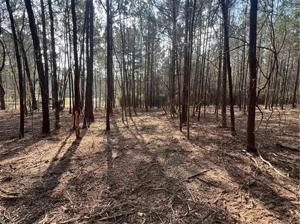 0 Chadwick Loop Lot 1, Pineville, LA 71360