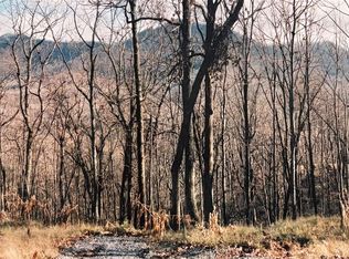 24 Anns Ln, Hayesville, NC 28904